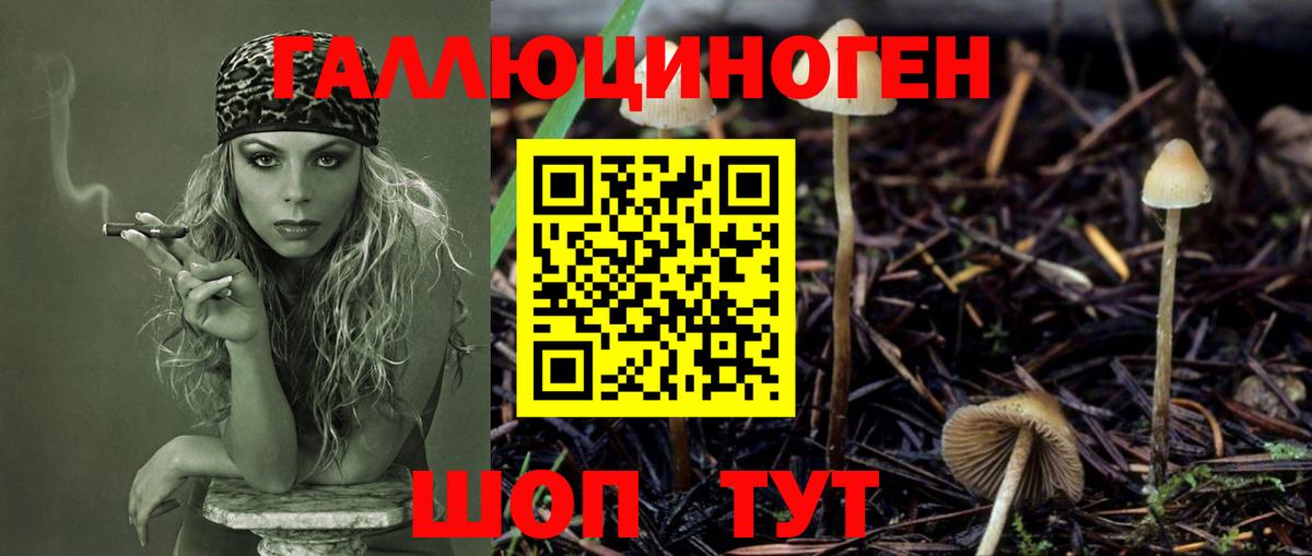 Марихуана  Вход с VPN  Мефедрон кристаллы  MDMA  ГАШ  Киселёвск  APVP СК  