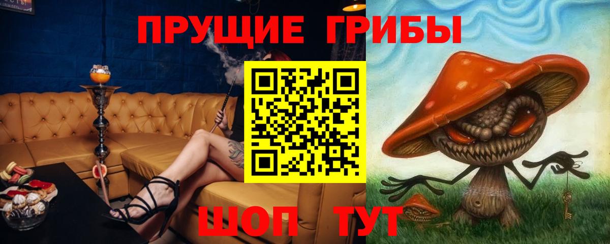 Псилоцибиновые грибы GOLDEN TEACHER  Галлюциногенные грибы Psilocybine cubensis  Киселёвск  Вход с VPN 